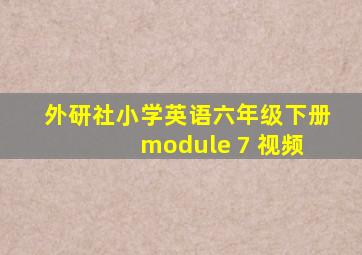 外研社小学英语六年级下册 module 7 视频